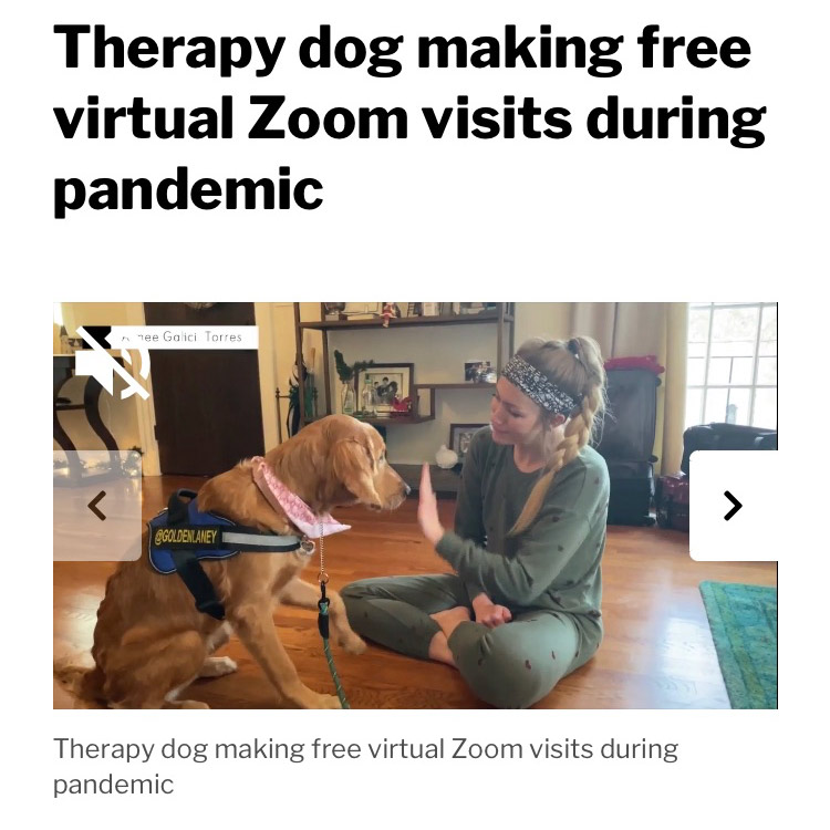 therapy dog zoom